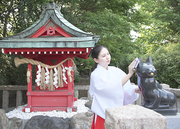 招福稲荷神社の狛犬を磨く巫女